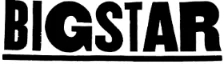 Big Star Chicago