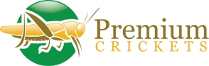 Premium Crickets