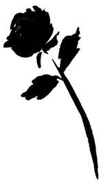 Mystical Rose Jewelry