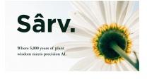 Sarv