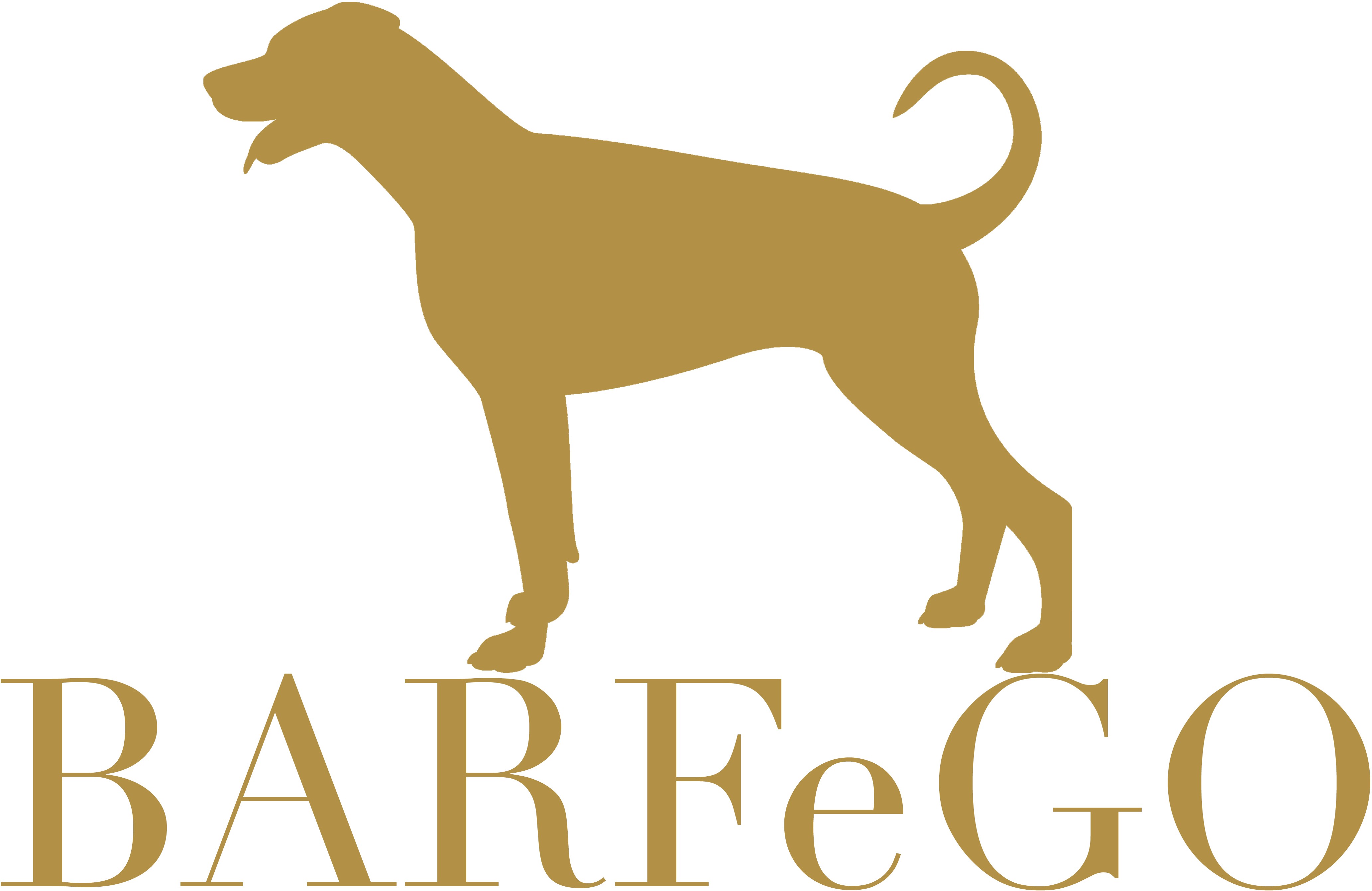 Barfego