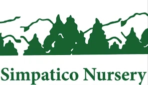 Simp&aacute;tico Nursery