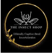 The Insect Shop