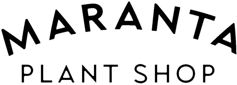 Maranta Plant Shop