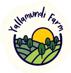 Yallamundi Farm