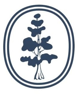 Blue Cypress