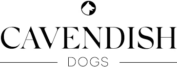 Cavendish Dogs