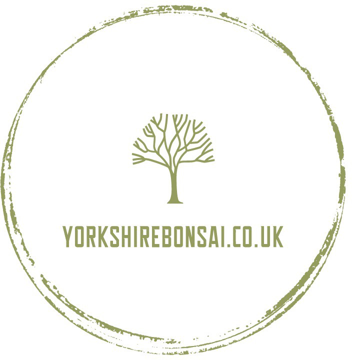 Yorkshire Bonsai