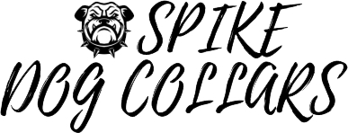 Spiked Dog Collars