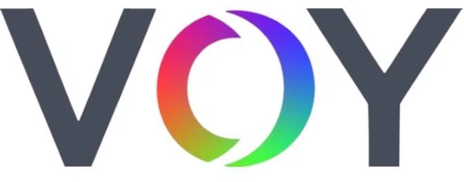VOY Glasses