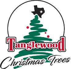 Tanglewood Christmas Trees