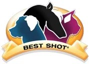 Best Shot