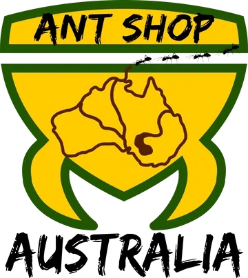 Ant Shop Australia
