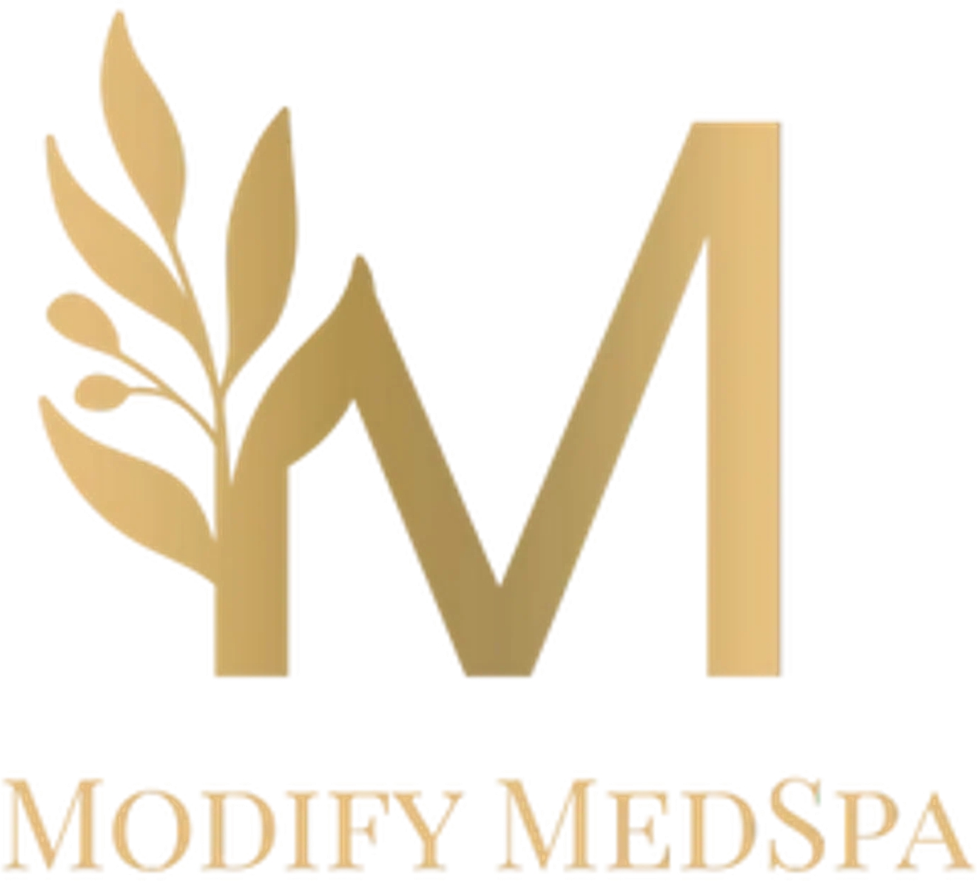 Modify MedSpa