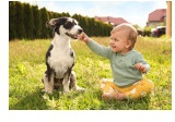 TechPaws & Tots