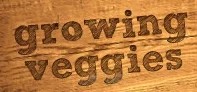 Growing Veggies