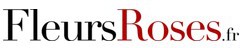 Fleurs Roses