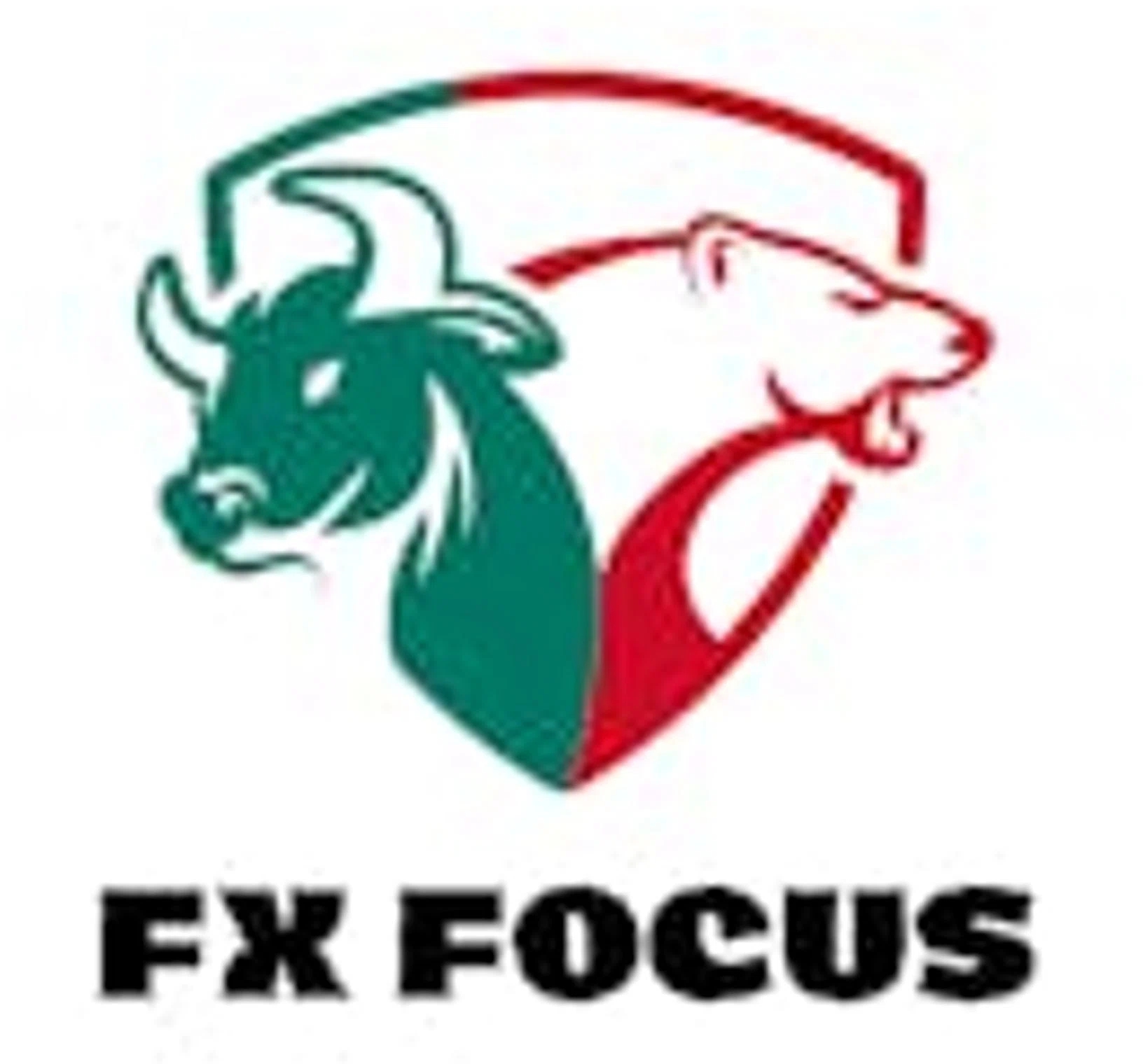 FX Focus