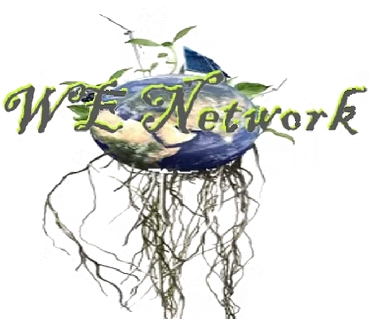 WE Network