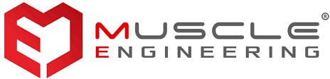 Muscle Engineering