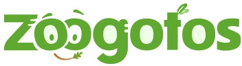 https://zoogotos.com