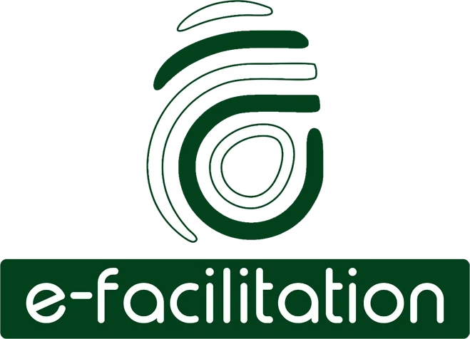e-Facilitation