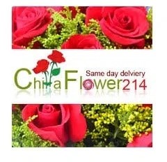 ChinaFlower214