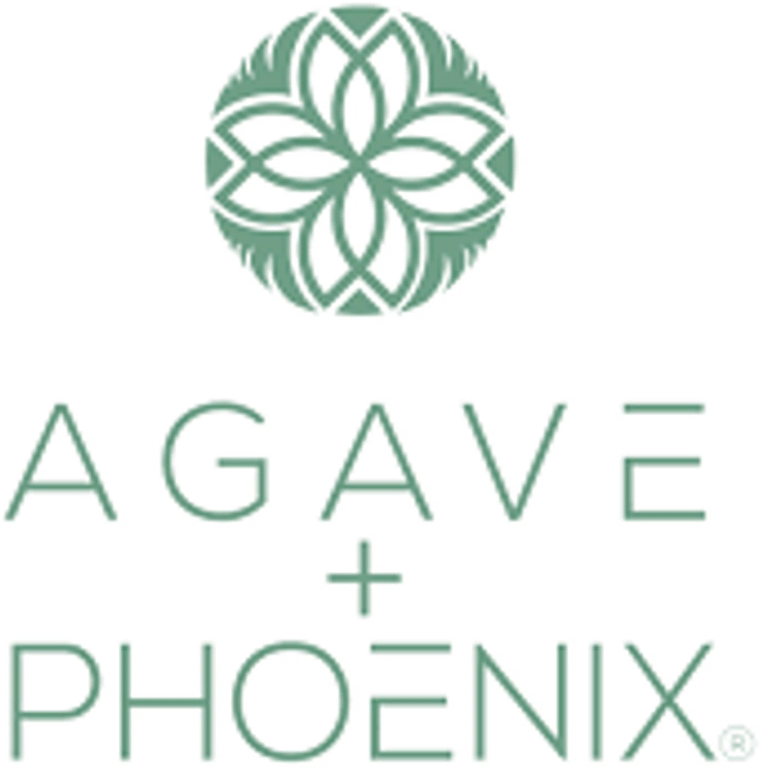 Agave + Phoenix