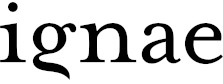 Ignae Skincare