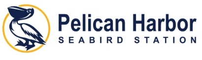 Pelican Harbor Seabird Station