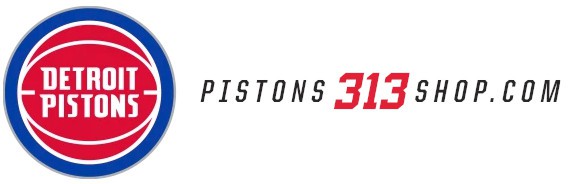 Pistons 313