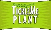 Tickle Me Plant