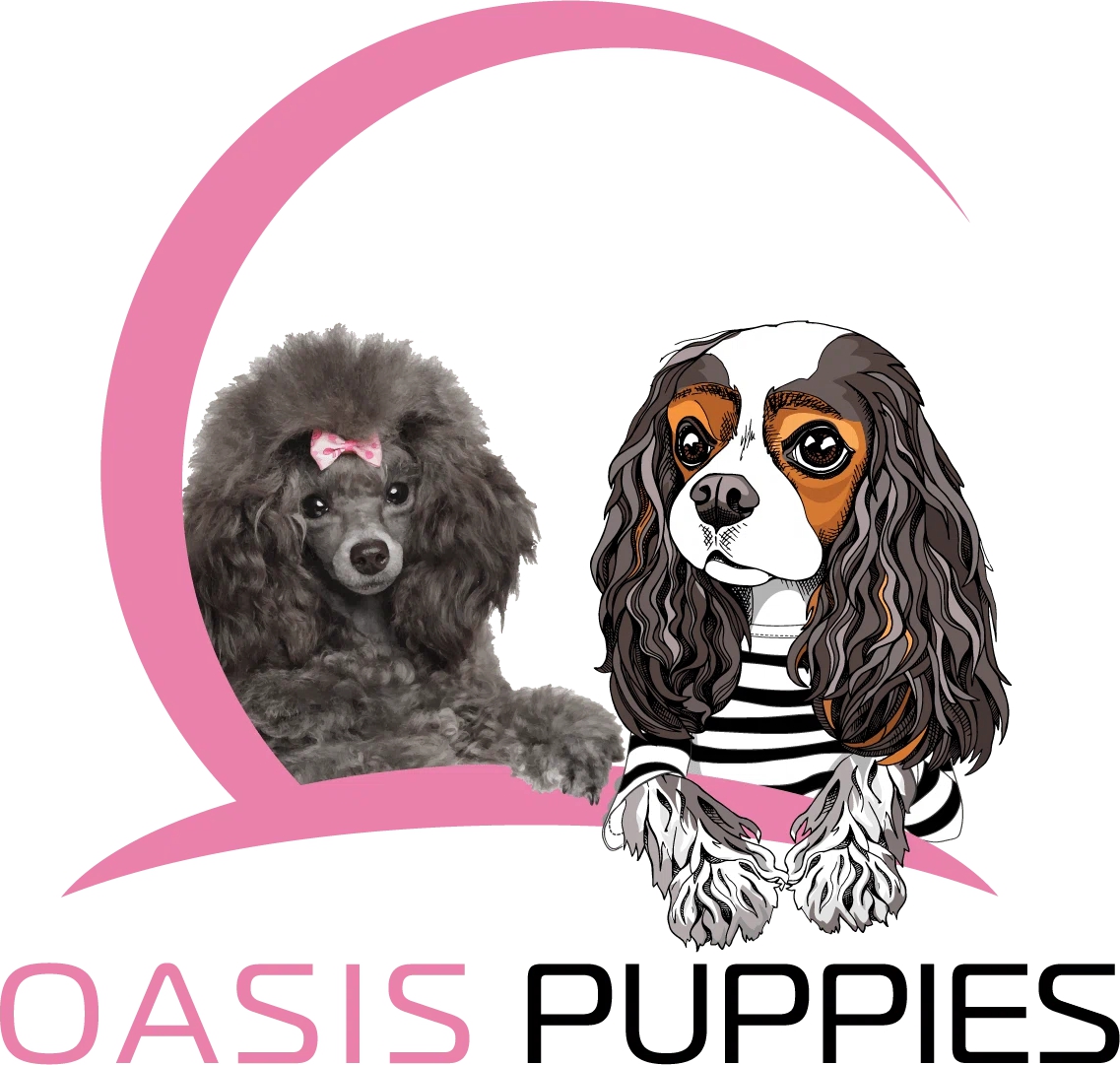 Oasis Puppies