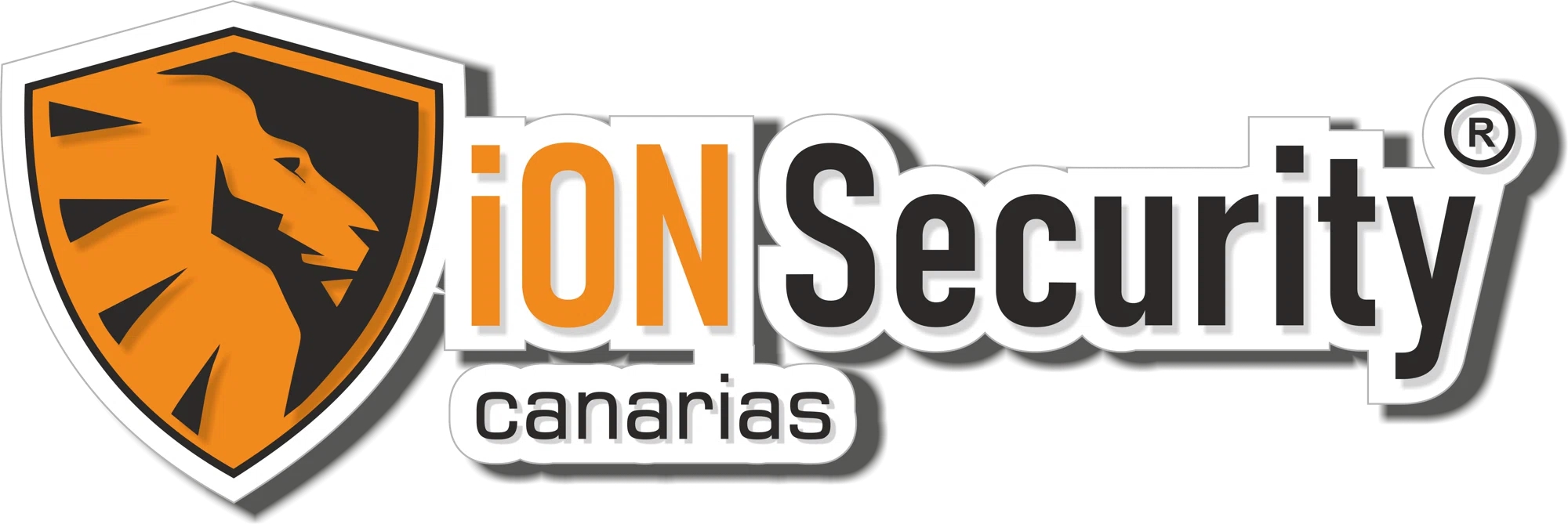 iON Security ES