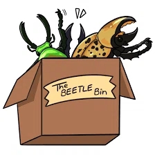 THEBEETLEBIN