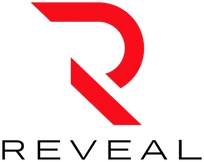 Reveal Bookkeeping