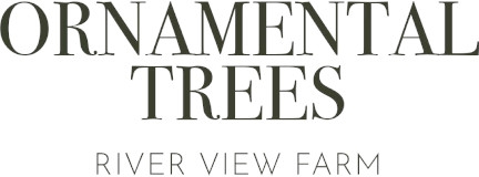 Ornamental Trees