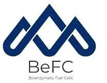 Bioenzymatic Fuel Cells