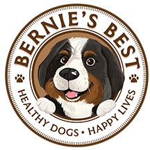 Bernie's Best
