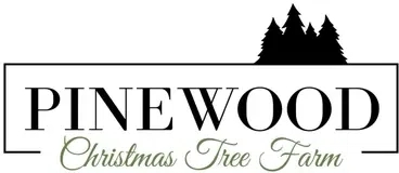 Pinewood Christmas Tree Farm