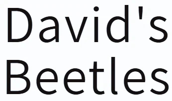 David's Beetles