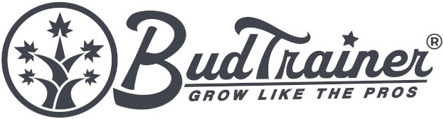 Bud Trainer