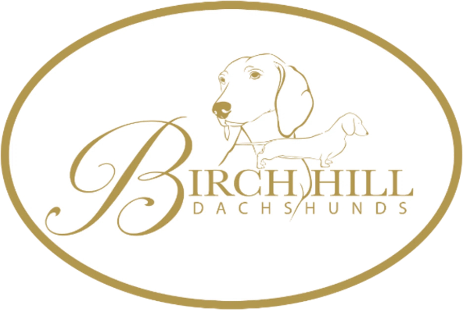 Birch Hill Doxies
