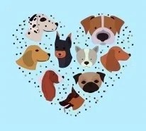 The Playful Pooch Boutique