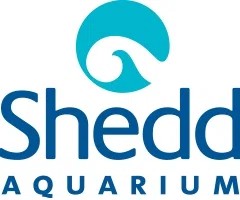 Shedd Aquarium