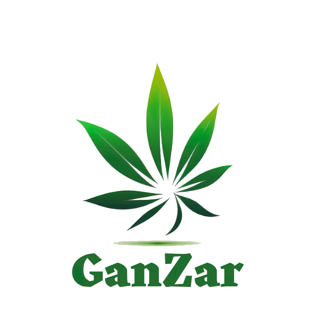 ganzar.design
