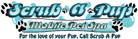 Scrub A Pup