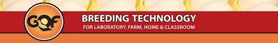 GQF Breeding Technology
