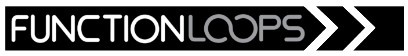 Function Loops Function Loops