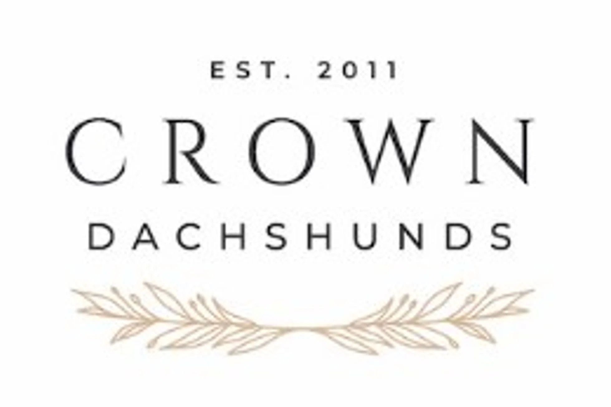 Crown Dachshunds